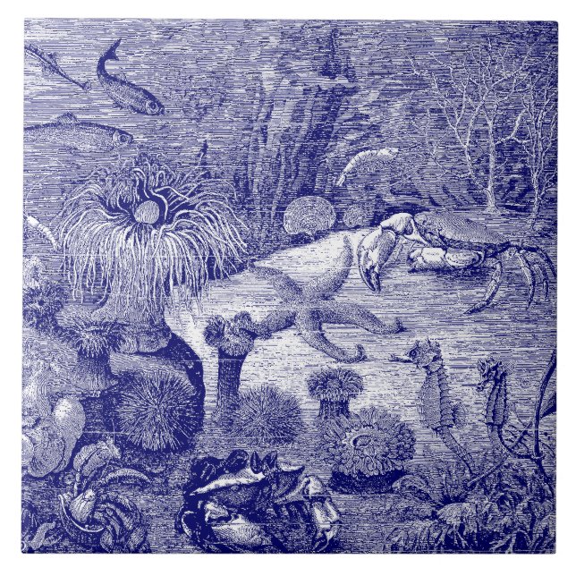 Ocean Marine Life Blue & White Ceramic Tile (Front)