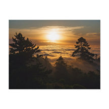 ocean of clouds with sunset