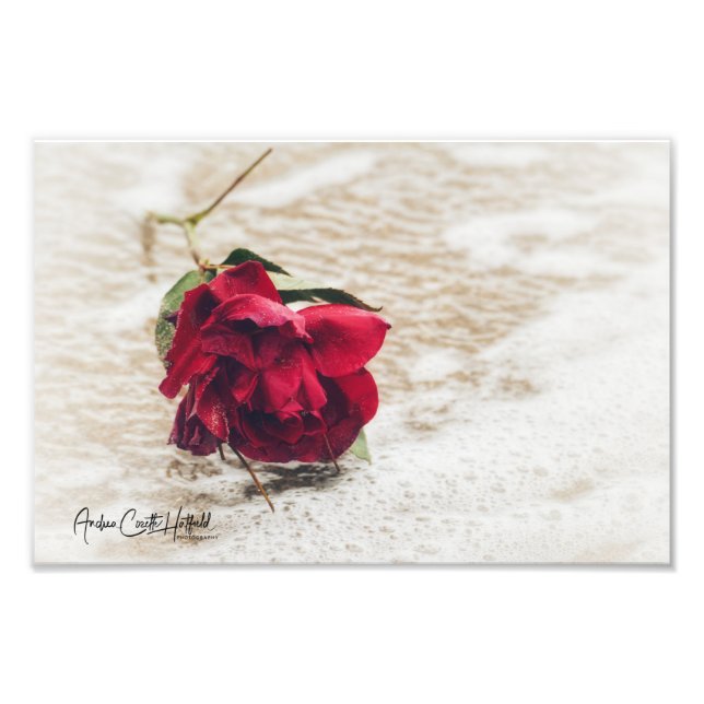 Ocean Rose Photo Print (Front)
