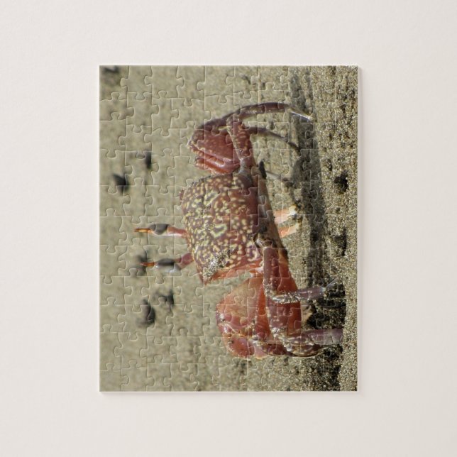 Ocean Sand Crab Jigsaw Puzzle (Vertical)
