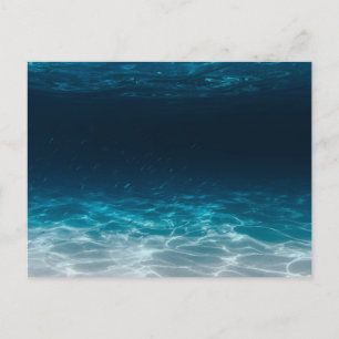 Ocean Sea Water Under the Sea Postcard