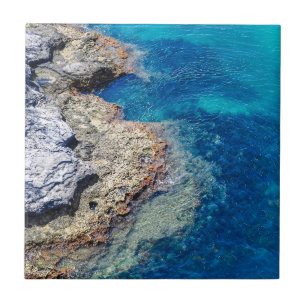 Ocean Shoal and Blue Waters Ceramic Tiles