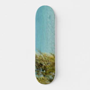 Ocean Skateboard