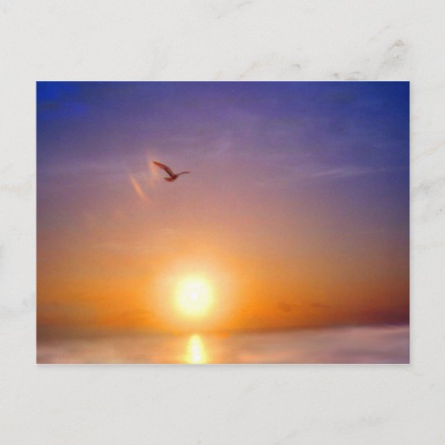 Ocean Sunset Bliss Postcard (Front)
