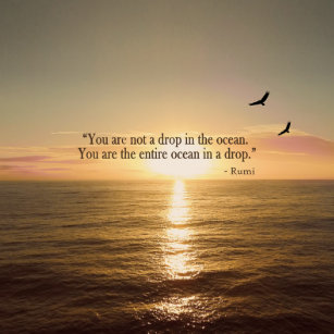 Rumi Quotes Decorative Throw Cushions Zazzle Au