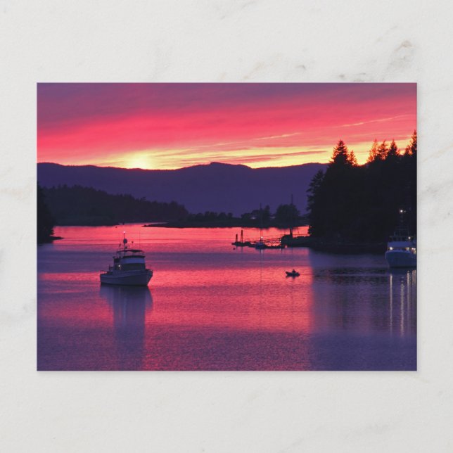 Ocean Sunset with Boats in Harbour Postcard (Front)