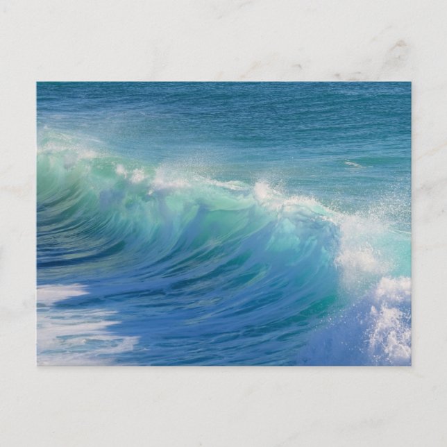 Ocean Surf Wave Postcard (Front)