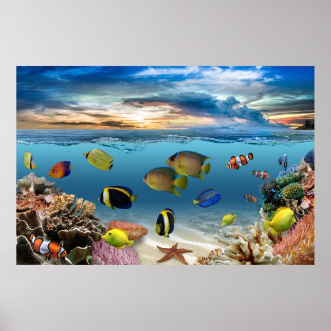 Ocean Underwater Coral Reef Tropical Fish Poster (Front)