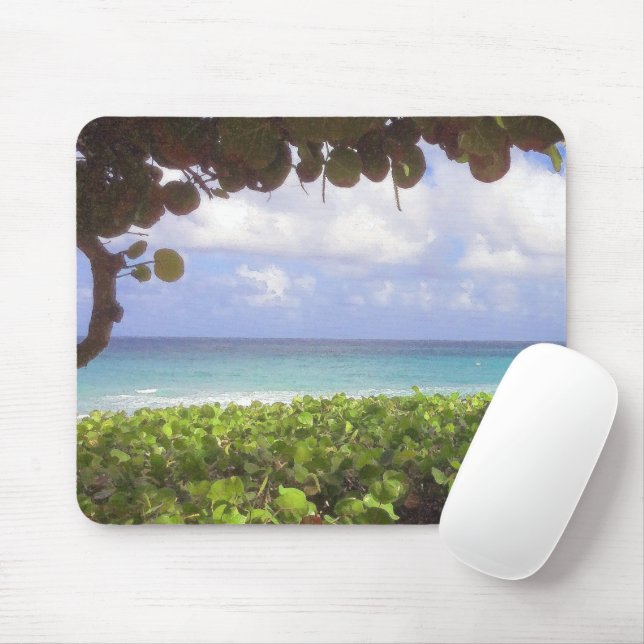 Ocean View, Juno Beach Mouse Pad (With Mouse)