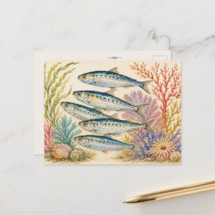 Ocean Watercolour Inspired Post Card - 5 Sardines