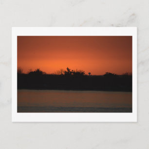 Ocean Waterscape Sunset Postcard