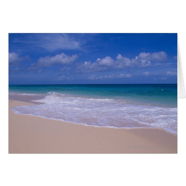 Ocean waves foaming onto sandy beach (Front Horizontal)