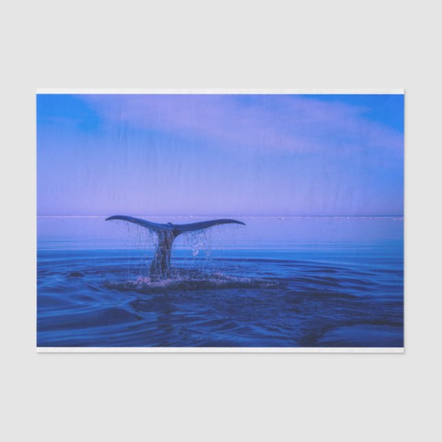 Ocean Whale Decoupage Tissue Paper (Front)