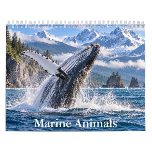 Ocean Wildlife Scenic Calendar