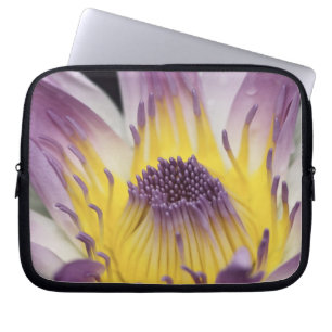 Oceania, Fiji, Purple Panama Pacifica Nymphea Laptop Sleeve