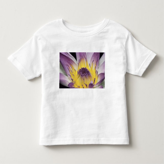 Oceania, Fiji, Purple Panama Pacifica Nymphea Toddler T-Shirt (Front)