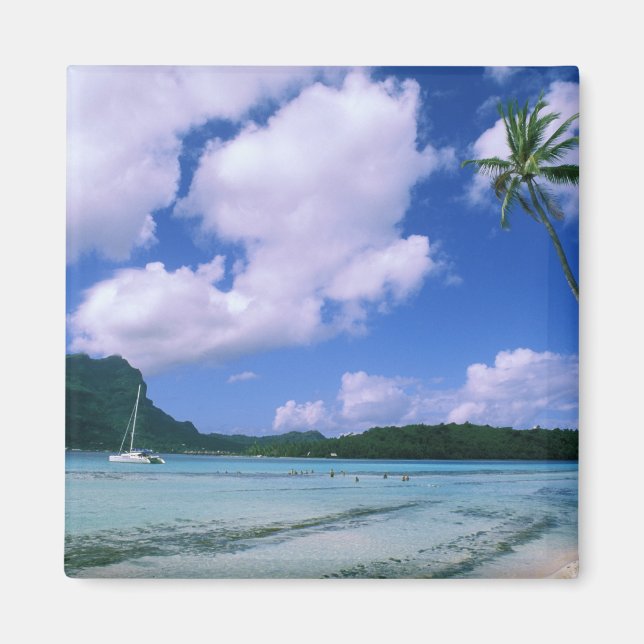 Oceania, French Polynesia, Tahiti. View of Magnet (Front)