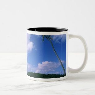 Oceania, French Polynesia, Tahiti. View of Two-Tone Coffee Mug