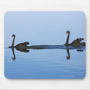 Oceania, New Zealand, South island, Hokitika - Mouse Pad