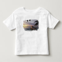 Oceania, Polynesia, Cook Islands, Aitutaki,