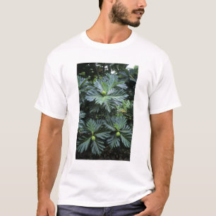 Oceania, South Pacific, French Polynesia, T-Shirt