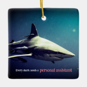 Oceanic blacktip shark underwater ceramic ornament
