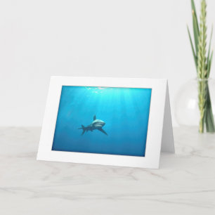Oceanic Whitetip Shark Greeting Card