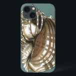 Ocean's Jewel iPhone 13 Case<br><div class="desc">One of the finest ocean's jewel is in this image. Find this large Conch seashell in this framed piece of modern art. This large Conch seashell image has a teal background and sepia and white shell. Get relaxed with this great piece of natural artwork.</div>
