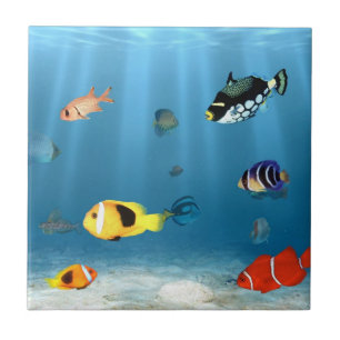 Oceans Of Fish Tile
