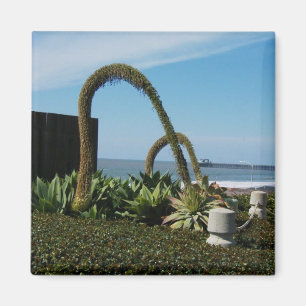 Oceanside,Ca Magnet