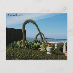Oceanside,Ca, Oceanside,CA Postcard