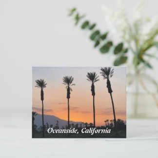 Oceanside California Orange Sunset Palm Trees Postcard