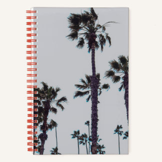 Oceanside Palm Trees Notebook