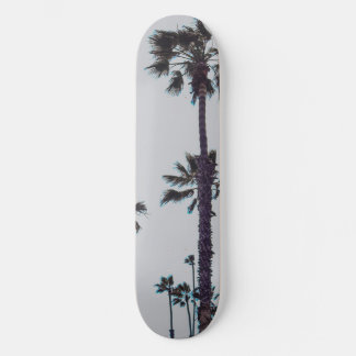 Oceanside Palm Trees Skateboard