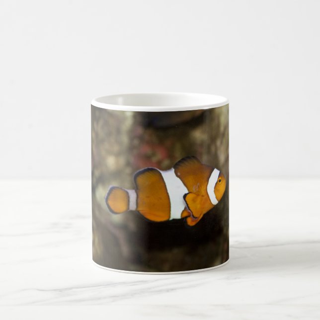 Ocellaris Clownfish Coffee Mug (Center)