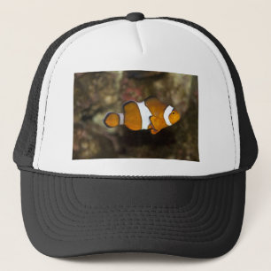 Ocellaris Clownfish Trucker Hat