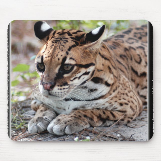 Ocelot 02 11x11 mouse pad (Front)