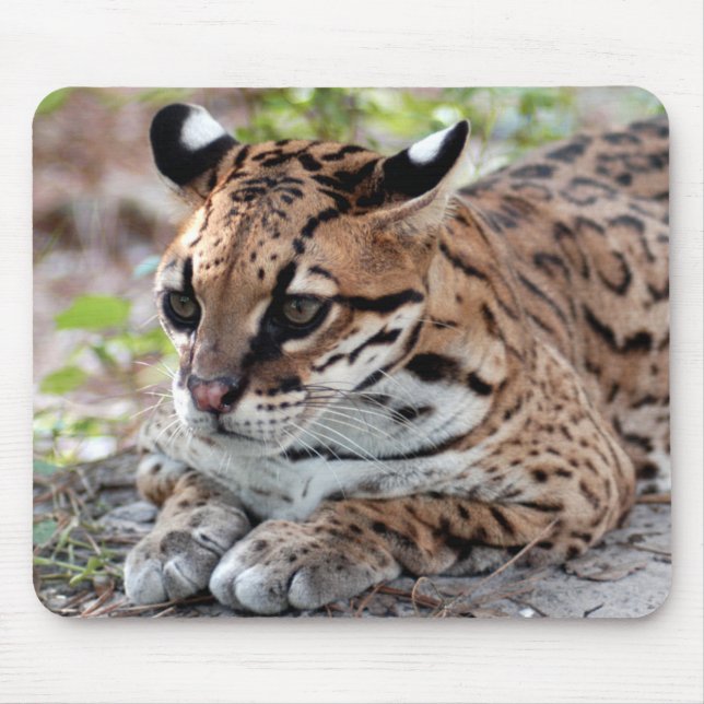 Ocelot 02 9x9 mouse pad (Front)