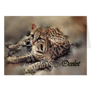 Ocelot art