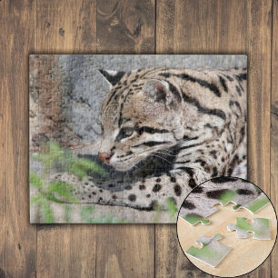 Ocelot Closeup Jigsaw Puzzle