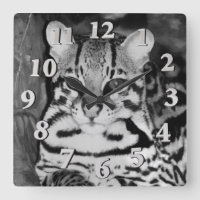 Ocelot in Repose