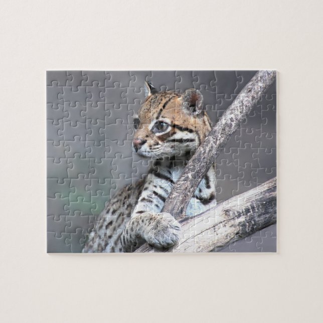 Ocelot Jigsaw Puzzle (Horizontal)