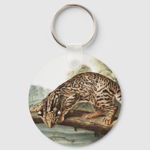 Ocelot, Leopard Cat (Felis pardalis) Illustration Key Ring