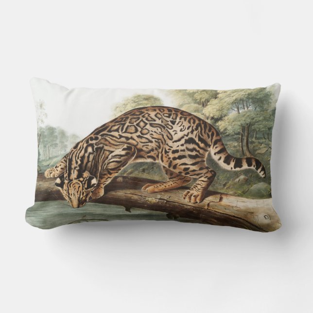 Ocelot, Leopard Cat (Felis pardalis) Illustration Lumbar Cushion (Front)