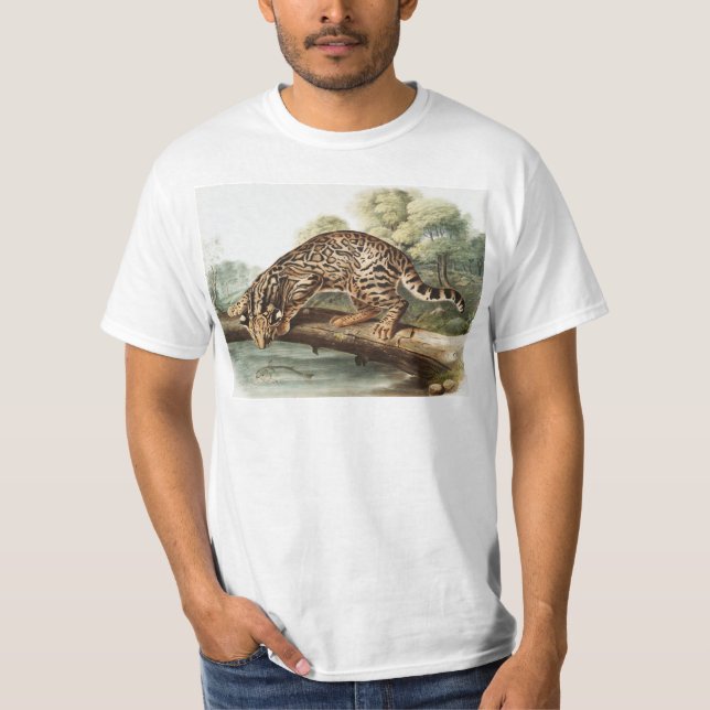 Ocelot, Leopard Cat (Felis pardalis) Illustration T-Shirt (Front)