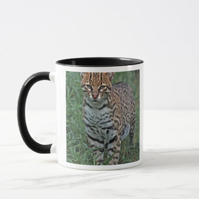 OCELOT Leopardus pardalis) CENTRAL AMERICA Mug (Left)
