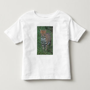 OCELOT Leopardus pardalis) CENTRAL AMERICA Toddler T-Shirt