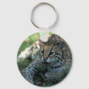 Ocelot lying down key ring