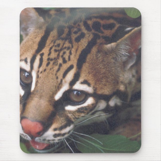 OCELOT MOUSE PAD (Front)