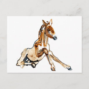 Ochre Foal Postcard